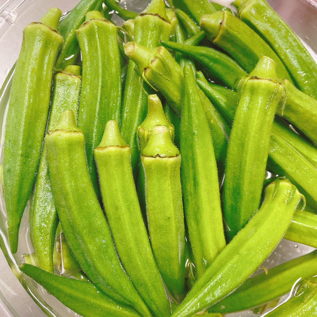 沖縄で収穫されたオクラ